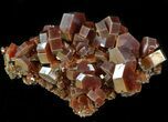 Large, Ruby Red Vanadinite Crystal Cluster - Morocco #42199-1